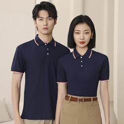 Summer Men's Ice Silk T-Shirt Lapel Short-Sleeved Polo Shirt Group Activity Cultural Shirt Work Clothes Custom Printed Logo