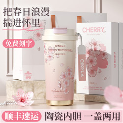 Straw Insulated Cup, Water Cup, New Model for Girls 2025, High-Looking Coffee Cup, Portable for Outings, Souvenir, Birthday Gift