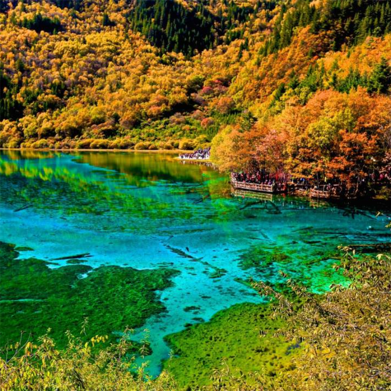 2-8人九寨沟小团5天4晚若尔盖草原 四姑娘山毕棚沟达古冰川 5日游