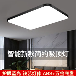 Atmospheric Main Living Room Lamp, High-End Atmospheric Ceiling Lamp, Room Home Lobby Lamp, Full Spectrum Eye Protection Led Super Bright Lamp