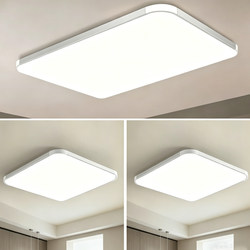 Silver Simple Modern Stylish Living Room Lamp Main Light Led Ceiling Light Super Bright Children's Room Boys and Girls Home Room