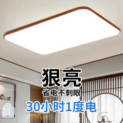 Living Room Ceiling Lamp 2025 New Ultra-Thin Led Modern Simple and Elegant Room Bedroom Hall Lamp Zhongshan Lighting Fixtures