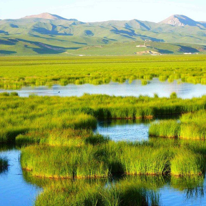 私家团 兰州甘南3天2晚 扎尕那花湖拉卜楞寺穿江迭公路甘南小独库