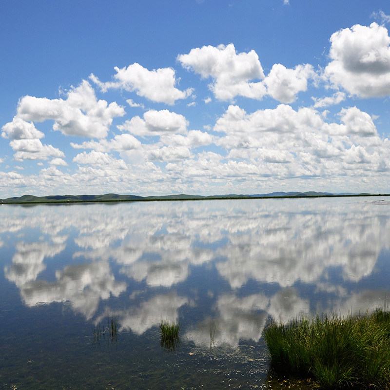 私家团 天水到陇南甘南7天6晚旅游 官鹅沟扎尕那拉卜楞寺郎木寺