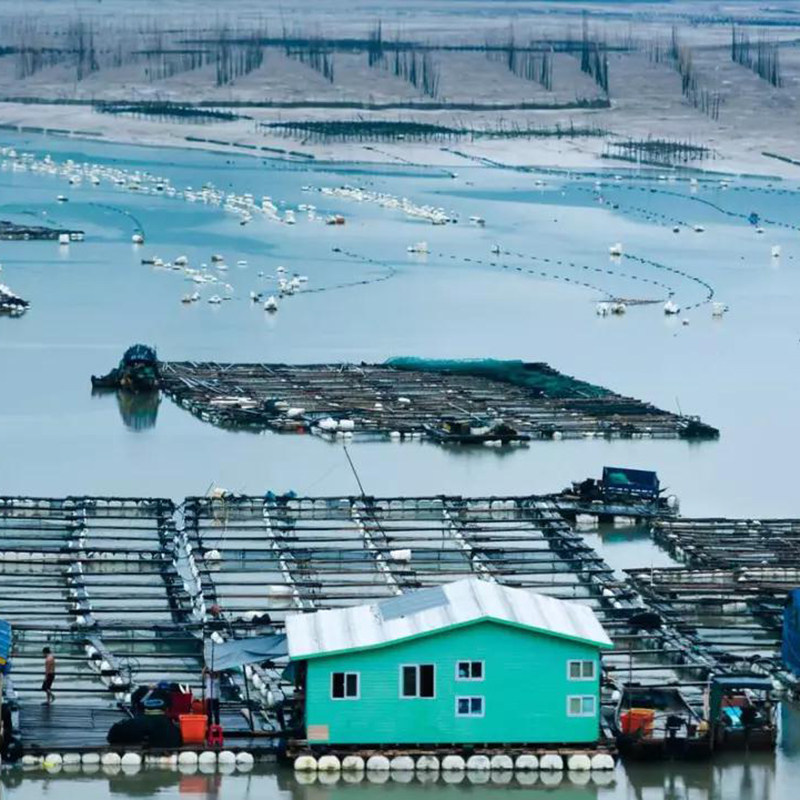 厦门出发 东山岛一日游鱼骨沙洲/鱼排可选+南门湾+苏峰山纯玩团