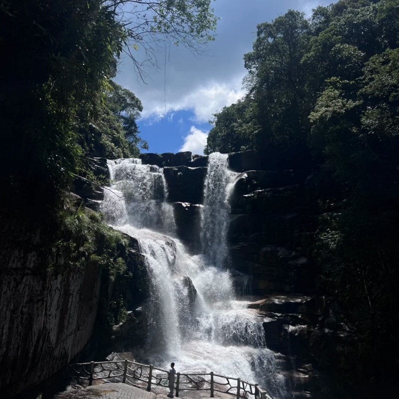 武夷山国家公园一日游 可选含午餐 月亮湾+青龙瀑布+野猴谷