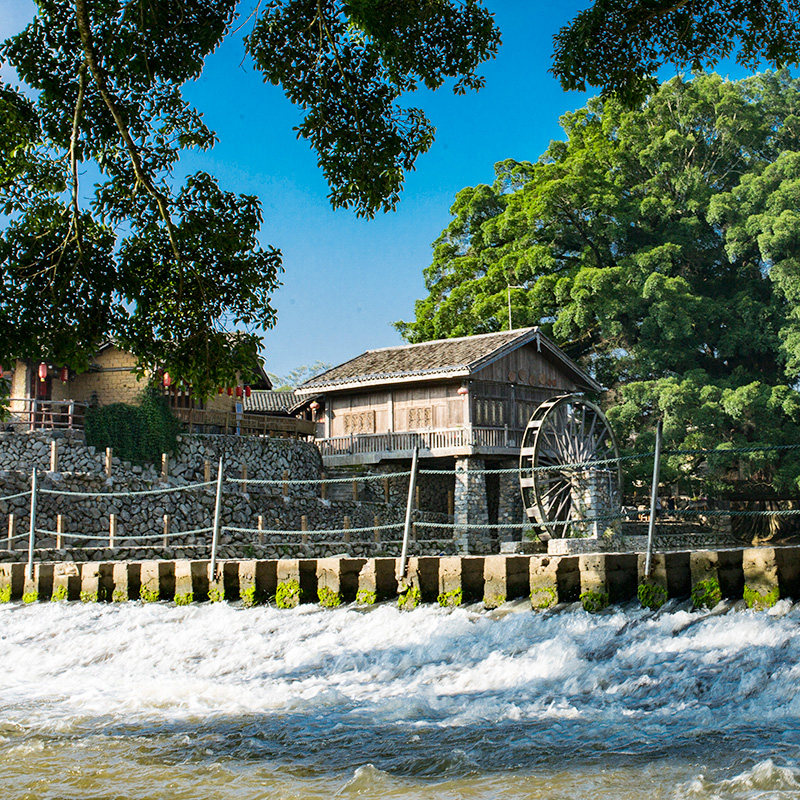 厦门5天4晚跟团游 云水谣土楼+鼓浪屿+日光岩+植物园+厦大入校