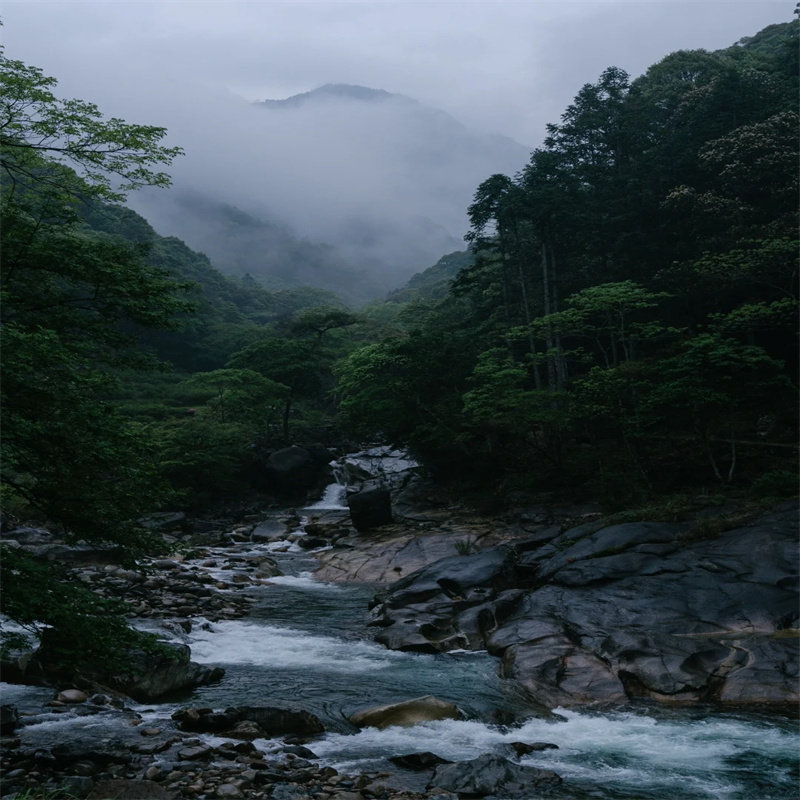 武夷山国家公园一日游 可选含午餐 月亮湾+青龙瀑布+野猴谷