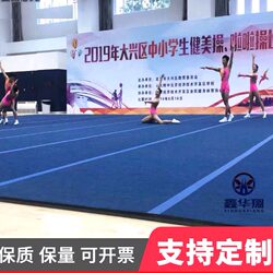 Rhythmic Gymnastics Mat, Cheerleading Roll Mat, Dance Skills Somersault Carpet, Martial Arts Routine, Competitive Aerobics Floor Mat