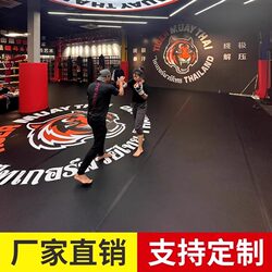 Fighting and Martial Arts Mats, Gymnastics Mats, Wrestling Practice Mats, Taekwondo Mats, Cheerleading Mats, Martial Arts Mats, Judo Mats, Sanda Fighting Mats