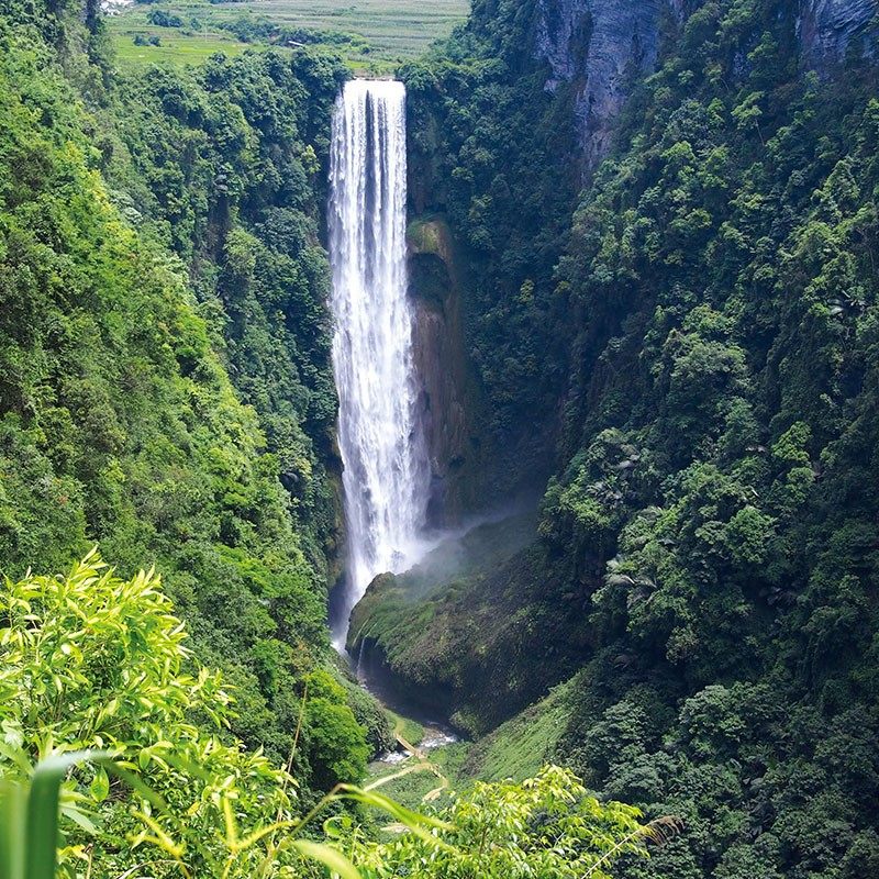 【南宁起止】德天瀑布巴马通灵峡谷/古龙山3日纯玩游/多种酒店