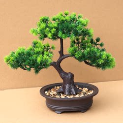 Artificial Plant Potted Fake Money Tree Living Room Decoration Indoor Decoration Counter Flower Plastic Flower Large Green Plant Bonsai