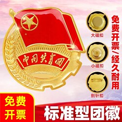 Group Emblem Brooch for Students, Pin-Type Large Magnet, Genuine Standard Magnetic Type, Genuine Qingqingtuan Supervised in China