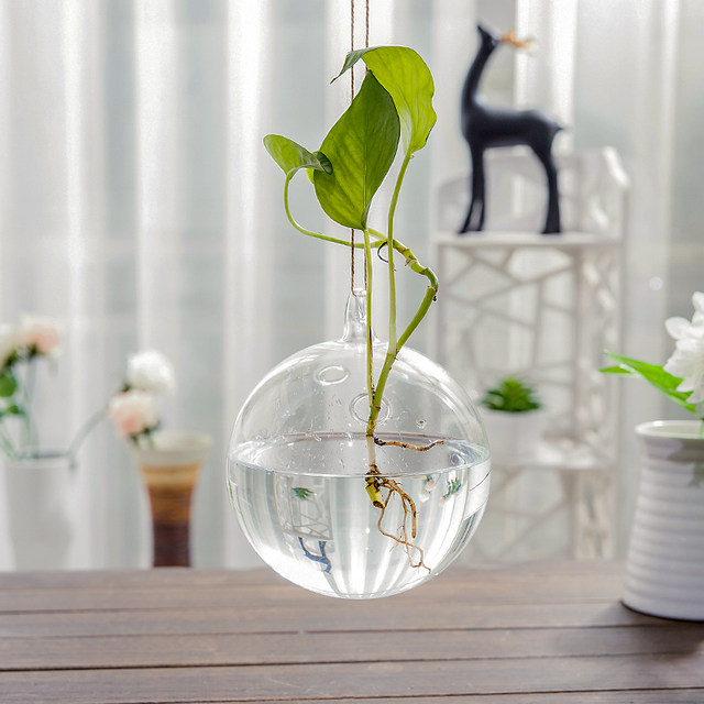 Vase glass transparent hydroponic pothos plant decorative bottle ...