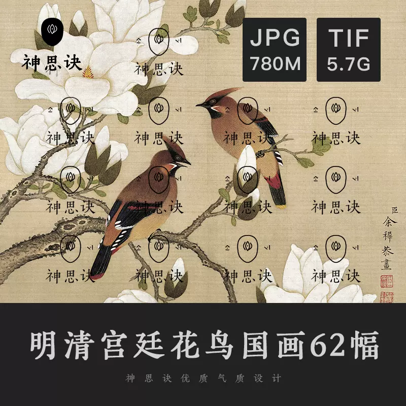 明清宮廷花鳥國畫62幅高清古畫工筆素攝影素材鮮花小鳥