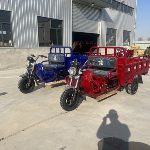 Gasoline three-wheel motorcycle, Zongshen power-assisted model, elderly walking freight, fuel tricycle, driving school vehicle