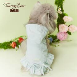 Dog Clothes Spring and Summer Thin Schnauzer Teddy Bichon Maltese Hooded Bow Lace Light Blue Dress