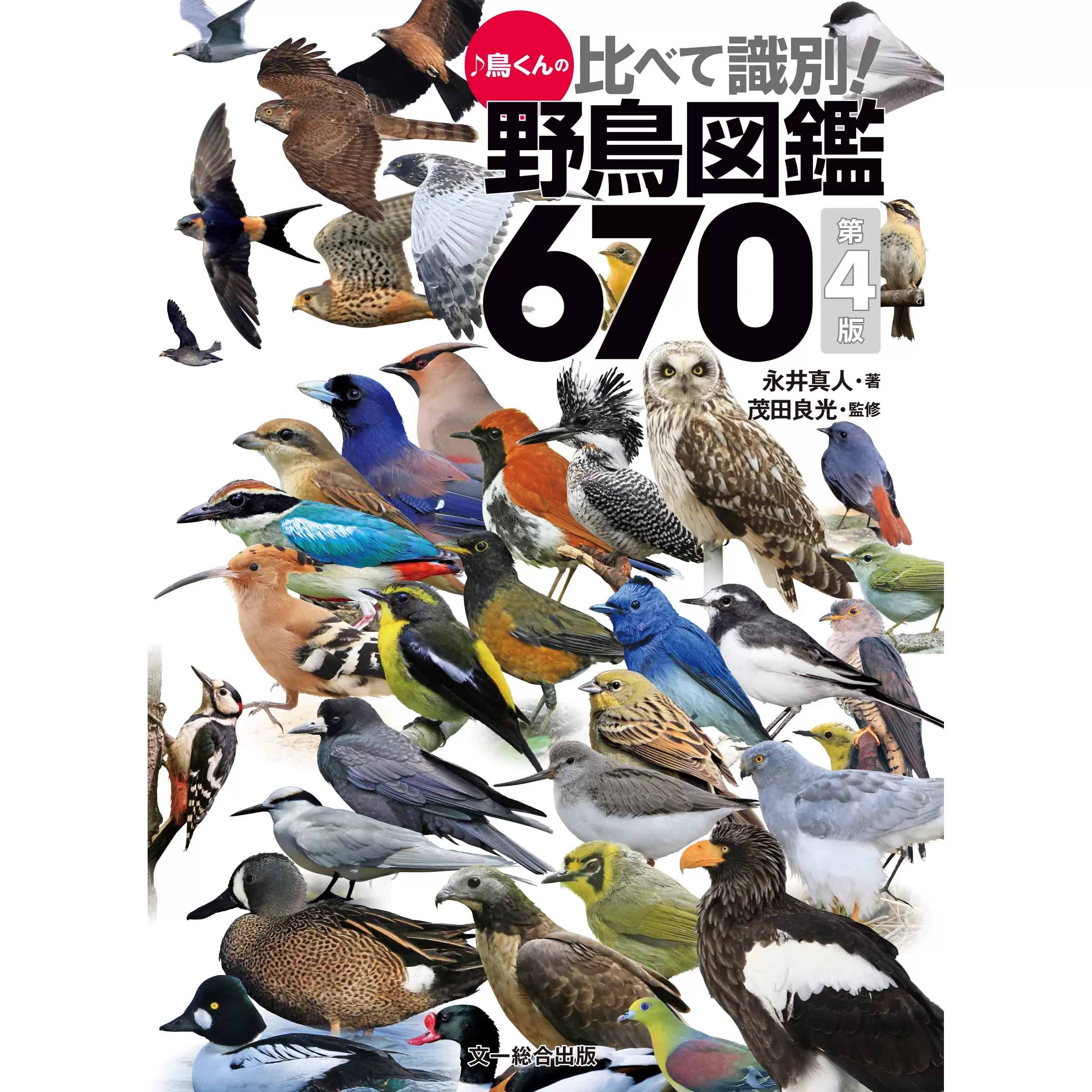 受注生産品】 鳥類学辞典 趣味/スポーツ/実用 - kintarogroup.com