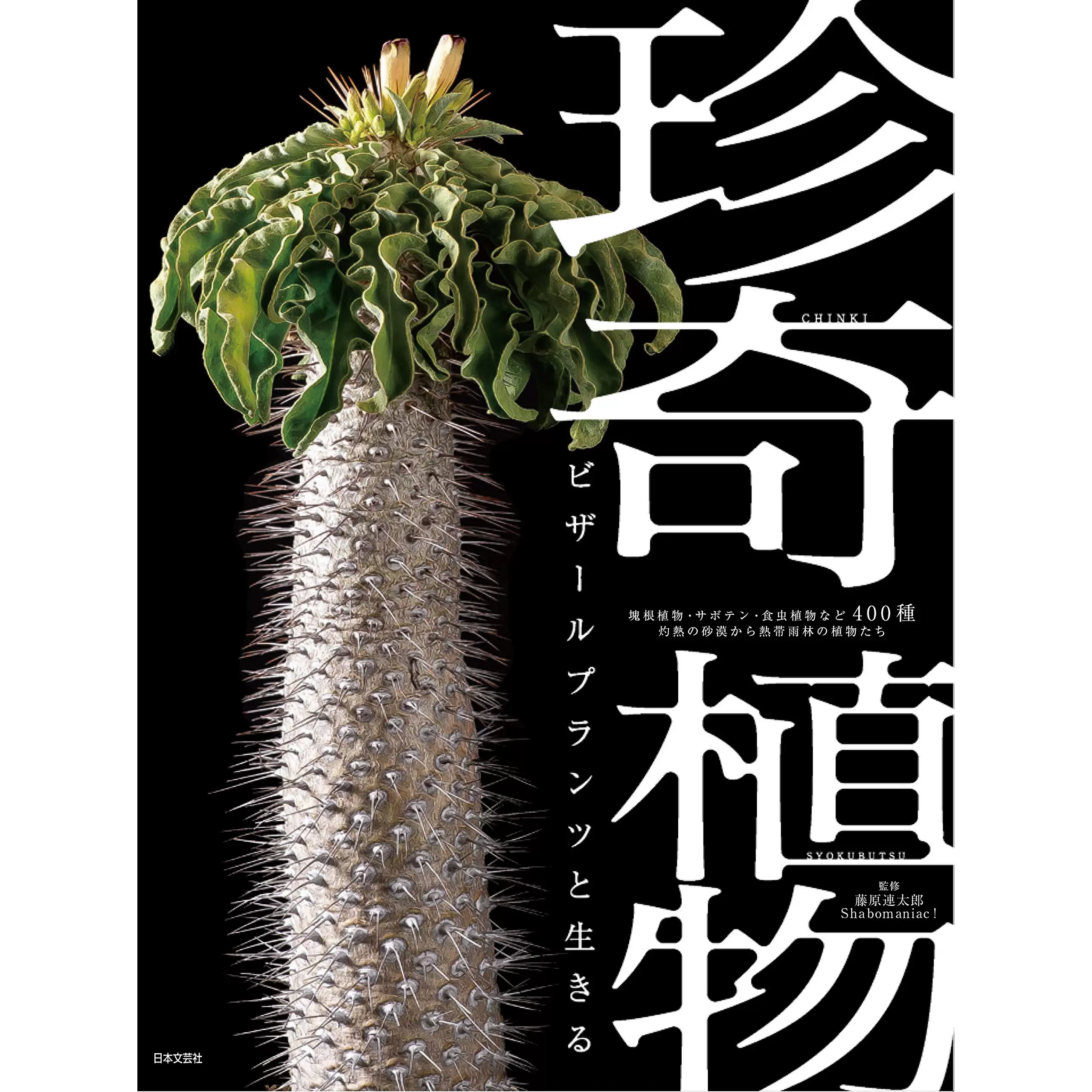 现货日本原版如何种植稀有珍奇植物实用技巧书籍藤原連太郎