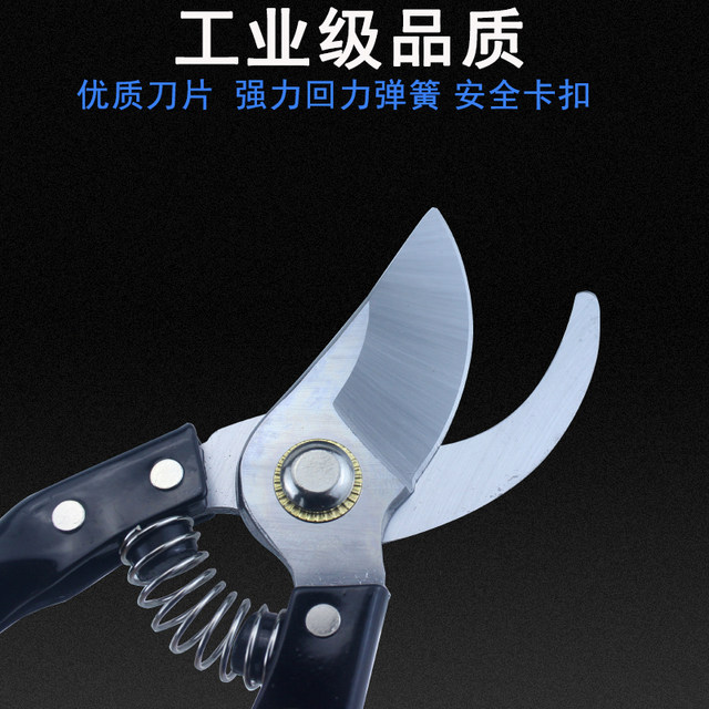 Garden scissors pruning shears gardening fruit tree scissors branch ...