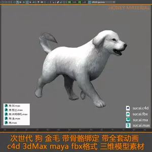 犬骨骼模型- Top 100件犬骨骼模型- 2024年3月更新- Taobao