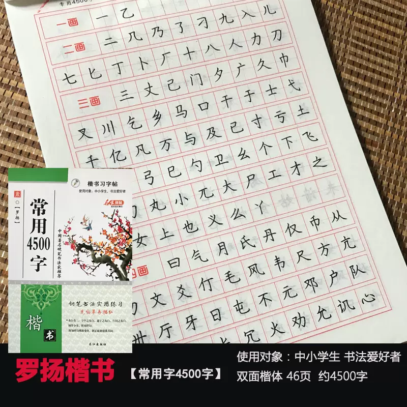 常用字4500字正楷楷书钢笔硬笔中性笔临摹描摹练字帖中学生