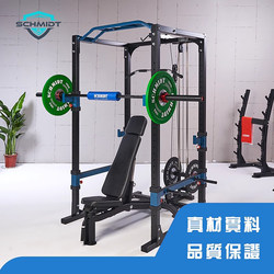 Frame-Style Squat Rack for Home Use, Free Squat, Professional Fitness, Commercial Weightlifting Barbell Bench Press Rack, Gantry Rack for Fitness