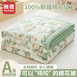 Yalu All-Cotton Air Conditioning Quilt, Pure Cotton Quilt Core, Summer Quilt, Machine Washable, Summer Cooling Quilt, Four-Piece Set, Single-Person Cotton Quilt for Summer