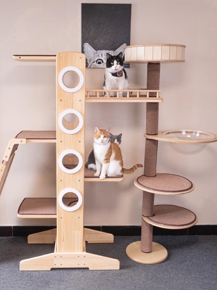 MOKO加宽版大型猫爬架 实木猫抓板