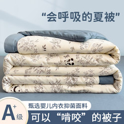 Air Conditioning Quilt, Summer Cooling Quilt, Machine Washable, Summer Single/Double Size, 2026 New Model, Summer Student Dormitory Thin Quilt, Quilt Core