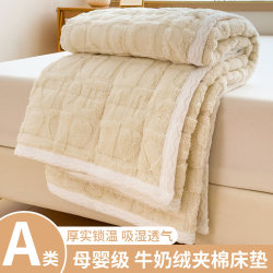 Class a Coral Milk Velvet Mattress Pad Student Dormitory Single Bed Soft Cushion Home Bedroom Crystal Velvet Pad