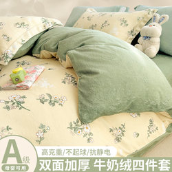 Fresh and Simple Milk Velvet Duvet Cover Four-Piece Set, Winter Fleece-Lined and Thickened Coral Fleece Children's Plush Bed Sheet Three-Piece Set