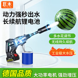 Household High-Pressure Car Washing Machine, High-Power Electric Portable Self-Service Car Wash, Rechargeable Powerful 2026 New Model, Top-Selling List