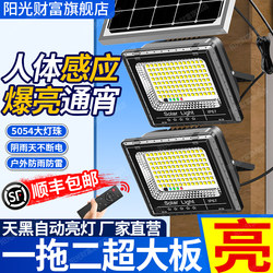 One-To-Two Solar Outdoor Lights, Home Garden Lights, 2026 New Waterproof Led Lighting, High-Power Floodlights