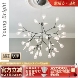 Nordic Moooi Heracleum French Light Luxury Firefly Chandelier for Living Room, Designer Dining Room, Bedroom
