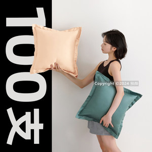 
100 s long velvet cotton mother and baby grade A pillowcase without core living room sofa light luxury high-end pillowcase