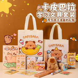 Kapibala Souvenirs for Primary and Secondary School Students, Birthday Return Gifts for Children, Whole Class Recognition Prizes, Christmas Gifts for Ten-Year-Olds