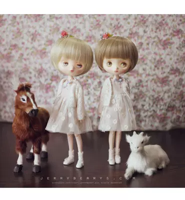 韓國jerryberry娃娃Flower Shower PENNY BERRY春季限定全新現貨-Taobao