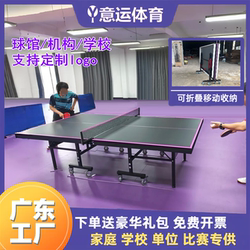 Paris-Style Foldable Standard Indoor Table Tennis Table for Home Use, Movable Competition-Grade Ping Pong Table