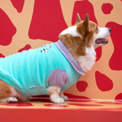 Pet autumn and winter POLO shirt, short-legged dog, Corgi, Shiba Inu, large dog, double-sided fleece clothing