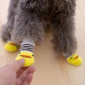 Dog socks, dirty cats, can not drop small dog legs, teddy dog's daily necessities cute cartoon
