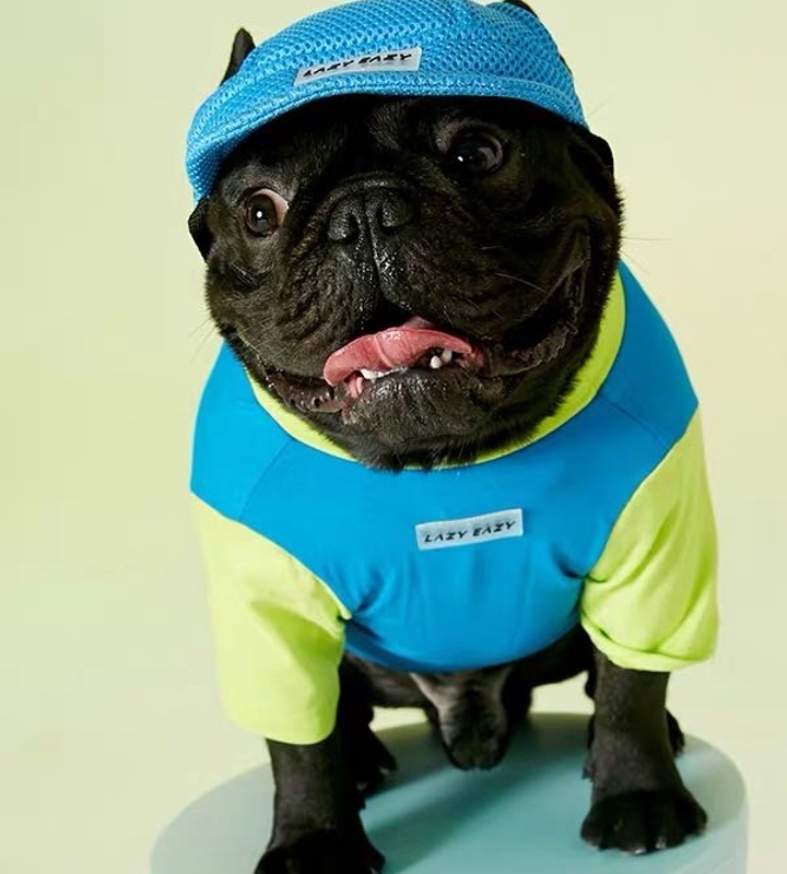 宠物帽子春夏款遮阳帽包邮肚兜护肚子 陈七月呀