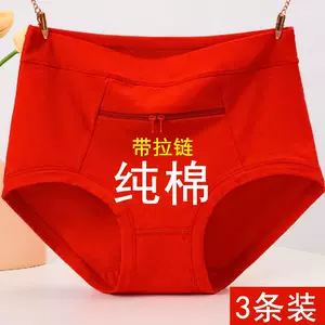 ANTI-THEFT POCKET PANTIES