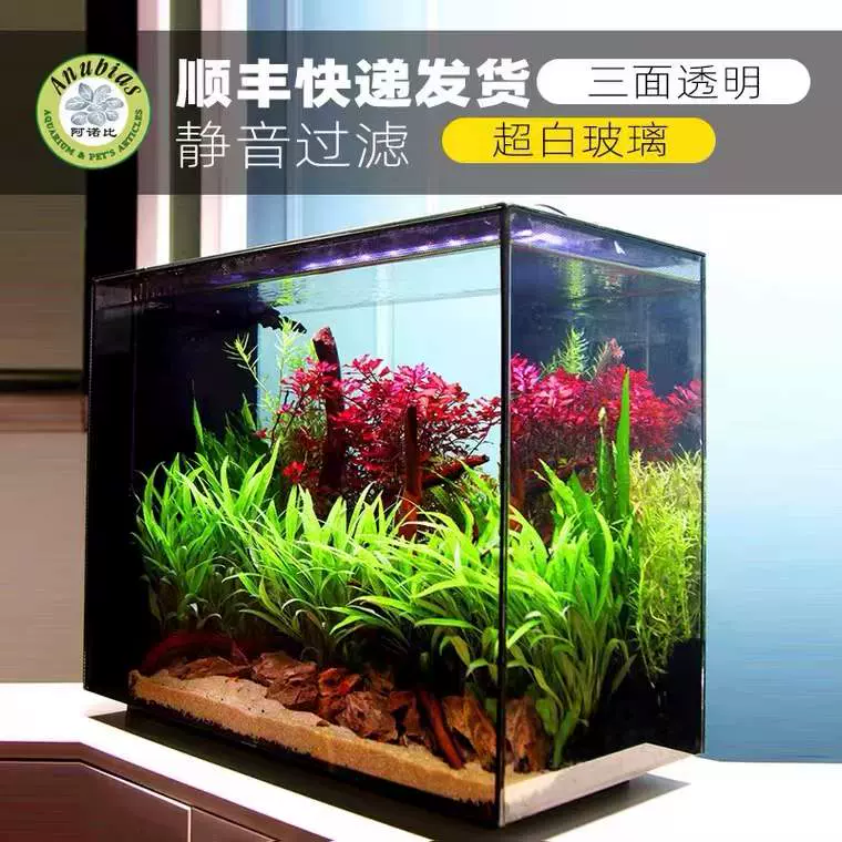 阿諾比側濾魚缸水族箱中型家用長方形水草缸造景自動 阿諾比側濾魚缸水族箱中型家用長方形水草缸造景自動