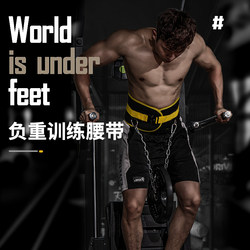 Doniuz Fitness Weighted Belt Pull-Up Bar Waist Strength Squat Training Device with Chain