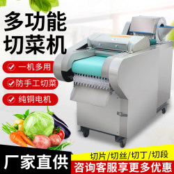 Universal Electric Vegetable Cutter, Commercial Multi-Functional Fully Automatic Machine for Shredding, Slicing, and Dicing Vegetables and Potatoes in Canteens