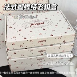 High-Quality French-Style Bow-Knot Airplane Box Gift Packaging, Large-Capacity Corrugated Paper Thickened Airplane Box for Shipping and Packing