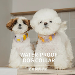 Dog Leash Waterproof for Large, Medium and Small Dogs, Corgi, Shiba Inu, Schnauzer, Pet Anti-Explosion Collar, Dog Walking Leash