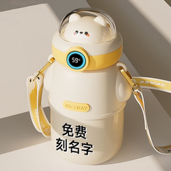 Children's Thermos Cup, Kindergarten Cup, Engraved Name Water Bottle, Special for School, Medical Grade Cup, Cute Straw Cup