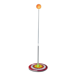 Rennis children's table tennis training device
